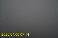 Img20260406_071415.jpg