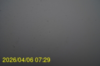 Img20260406_072915.jpg