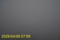 Img20260406_075915.jpg