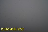 Img20260406_082915.jpg