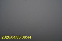 Img20260406_084415.jpg