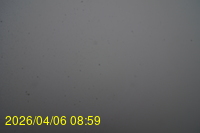 Img20260406_085915.jpg
