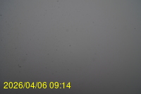 Img20260406_091415.jpg