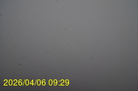 Img20260406_092915.jpg