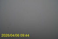 Img20260406_094415.jpg