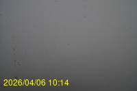 Img20260406_101415.jpg