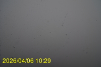 Img20260406_102915.jpg