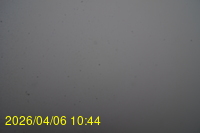 Img20260406_104415.jpg