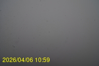 Img20260406_105915.jpg