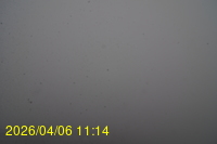 Img20260406_111415.jpg