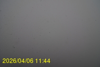 Img20260406_114415.jpg