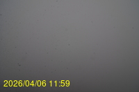 Img20260406_115915.jpg
