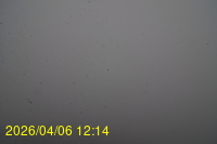 Img20260406_121415.jpg