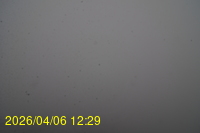 Img20260406_122915.jpg