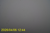 Img20260406_124415.jpg