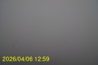 Img20260406_125915.jpg