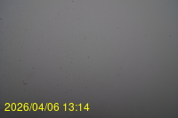 Img20260406_131415.jpg