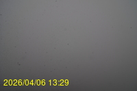 Img20260406_132915.jpg