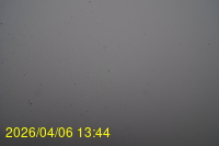 Img20260406_134415.jpg