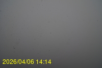 Img20260406_141416.jpg