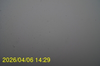 Img20260406_142916.jpg
