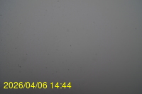 Img20260406_144416.jpg