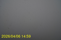 Img20260406_145916.jpg