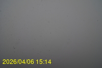 Img20260406_151416.jpg