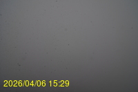 Img20260406_152916.jpg