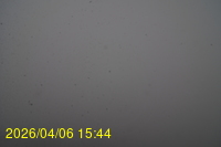 Img20260406_154416.jpg