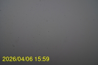 Img20260406_155916.jpg