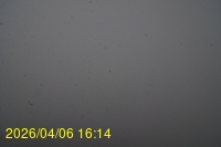 Img20260406_161416.jpg