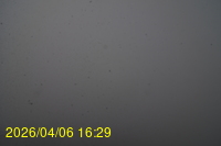 Img20260406_162916.jpg