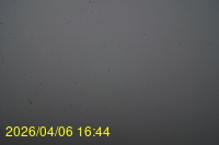 Img20260406_164416.jpg