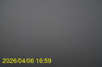 Img20260406_165916.jpg