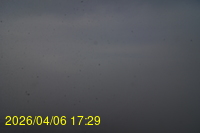 Img20260406_172916.jpg