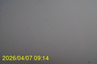 Img20260407_091418.jpg