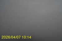Img20260407_101418.jpg