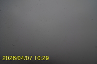 Img20260407_102918.jpg