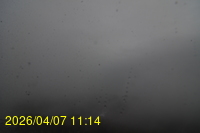 Img20260407_111418.jpg