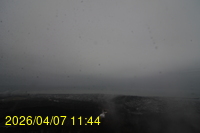 Img20260407_114418.jpg