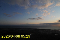 Img20260408_052921.jpg