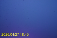Img20260427_184523.jpg