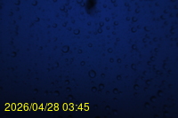 Img20260428_034524.jpg