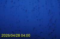 Img20260428_040024.jpg