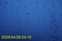 Img20260428_041524.jpg