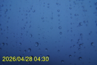 Img20260428_043024.jpg