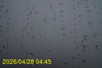 Img20260428_044524.jpg