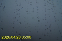 Img20260428_050024.jpg