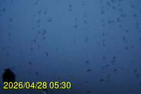 Img20260428_053024.jpg